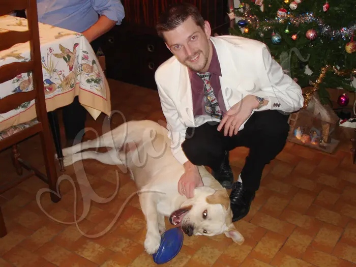 Chewie - Chien labrador retriever sable LOF - En sortie dans la famille avec son maître.