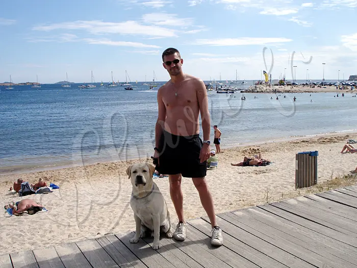 Chewie - Chien labrador retriever sable LOF - Mais même si Chewie n'a pas le droit d'aller sur la plage, son maître Michael est toujours à ses cotés. Chewie ne reste pas seul.