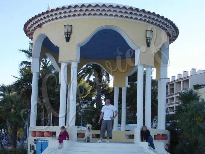Chewie - Chien labrador retriever sable LOF - Pause et pose au kiosque bien connu sur le port de Bandol