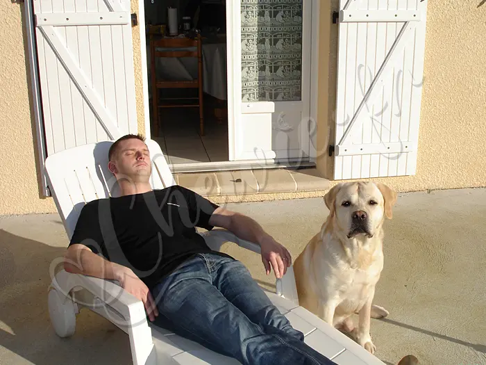 Chewie - Chien labrador retriever sable LOF - Premiers rayons de soleil du printemps, un peu de vitamine D