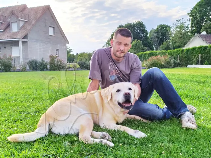Chewie - Chien labrador retriever sable LOF - Avec Michaël, le visage de son maître en dit long sur l'épreuve qui nous attend... Cette photo est encadrée dans mon bureau, à proximité de son urne.