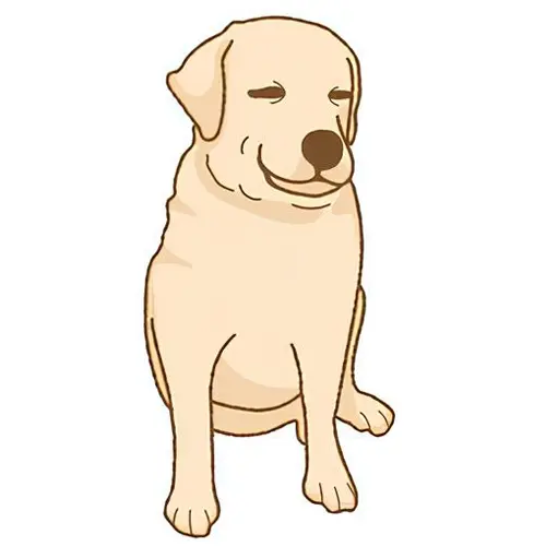 Découvrez l'arbre généalogie de Chewie